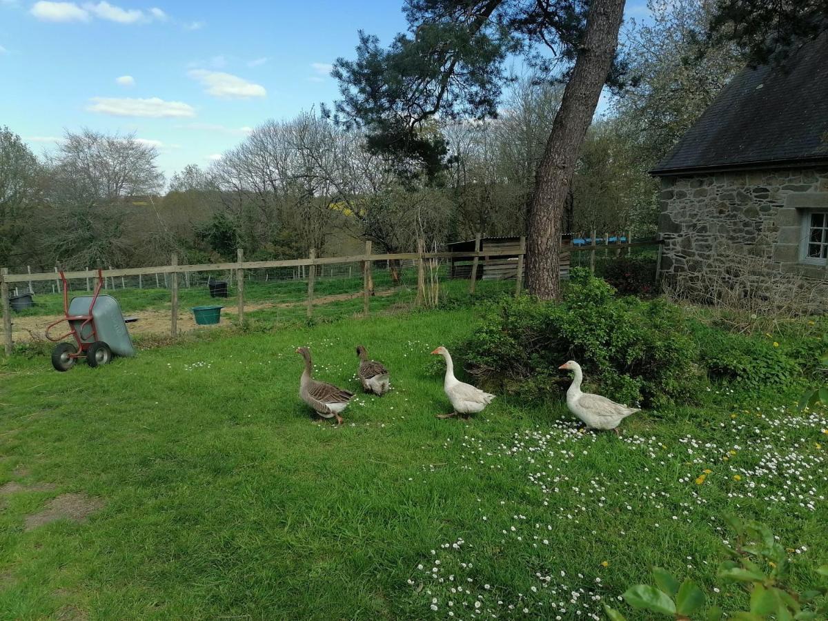 Bed and Breakfast Frairie Du Divit Pontivy Exterior foto