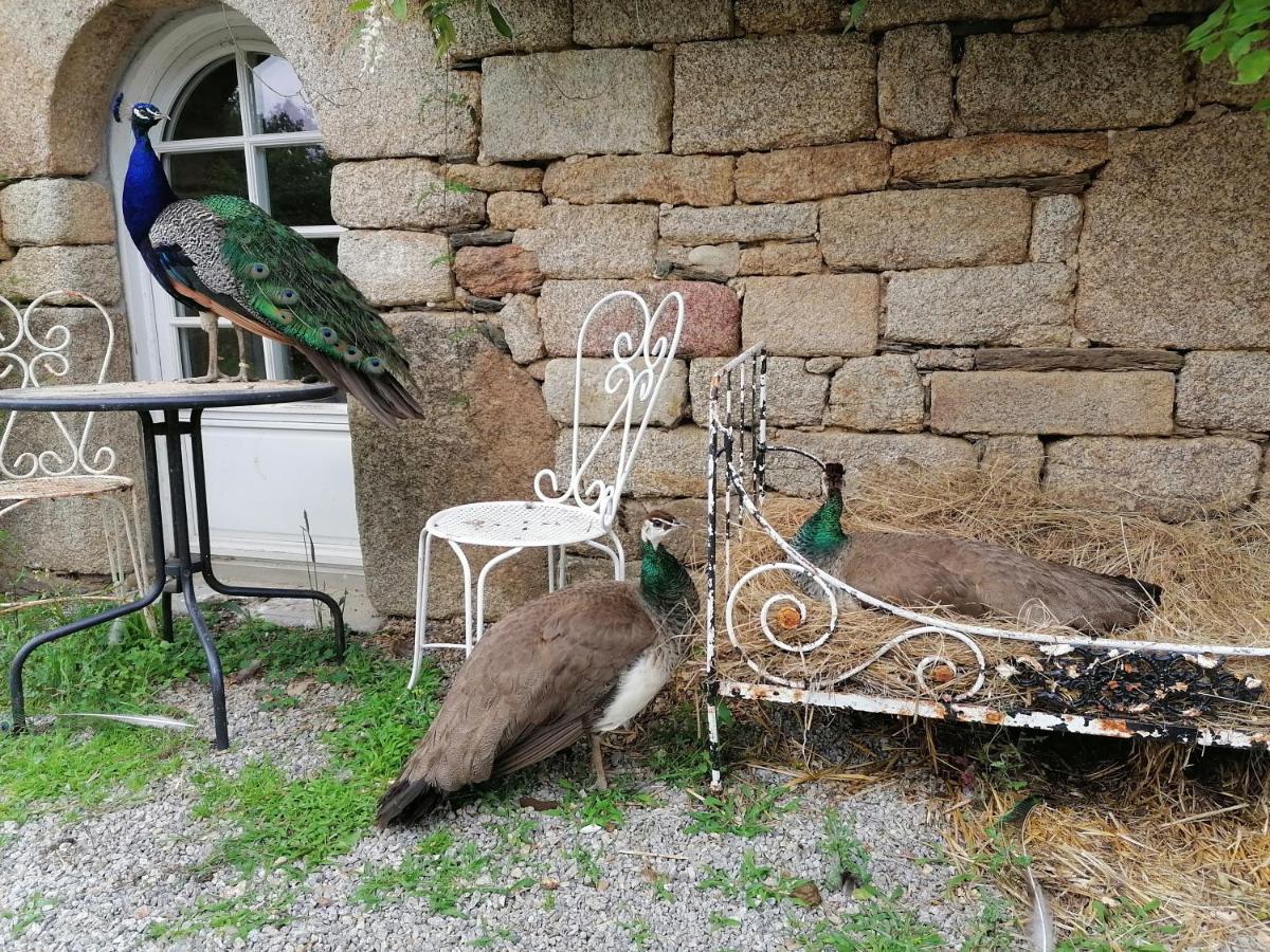 Bed and Breakfast Frairie Du Divit Pontivy Exterior foto